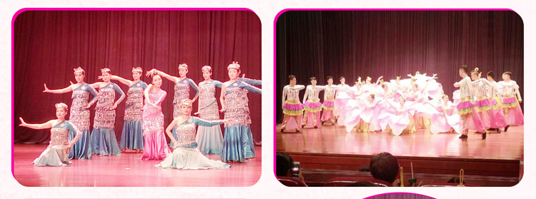 湖南欧博ABG赞助燕赵·恒爱残疾人艺术团圆满演出